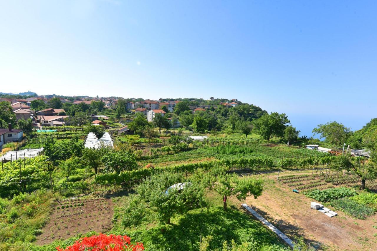 Apartament La Terrazza Sugli Dei Pianillo Zewnętrze zdjęcie