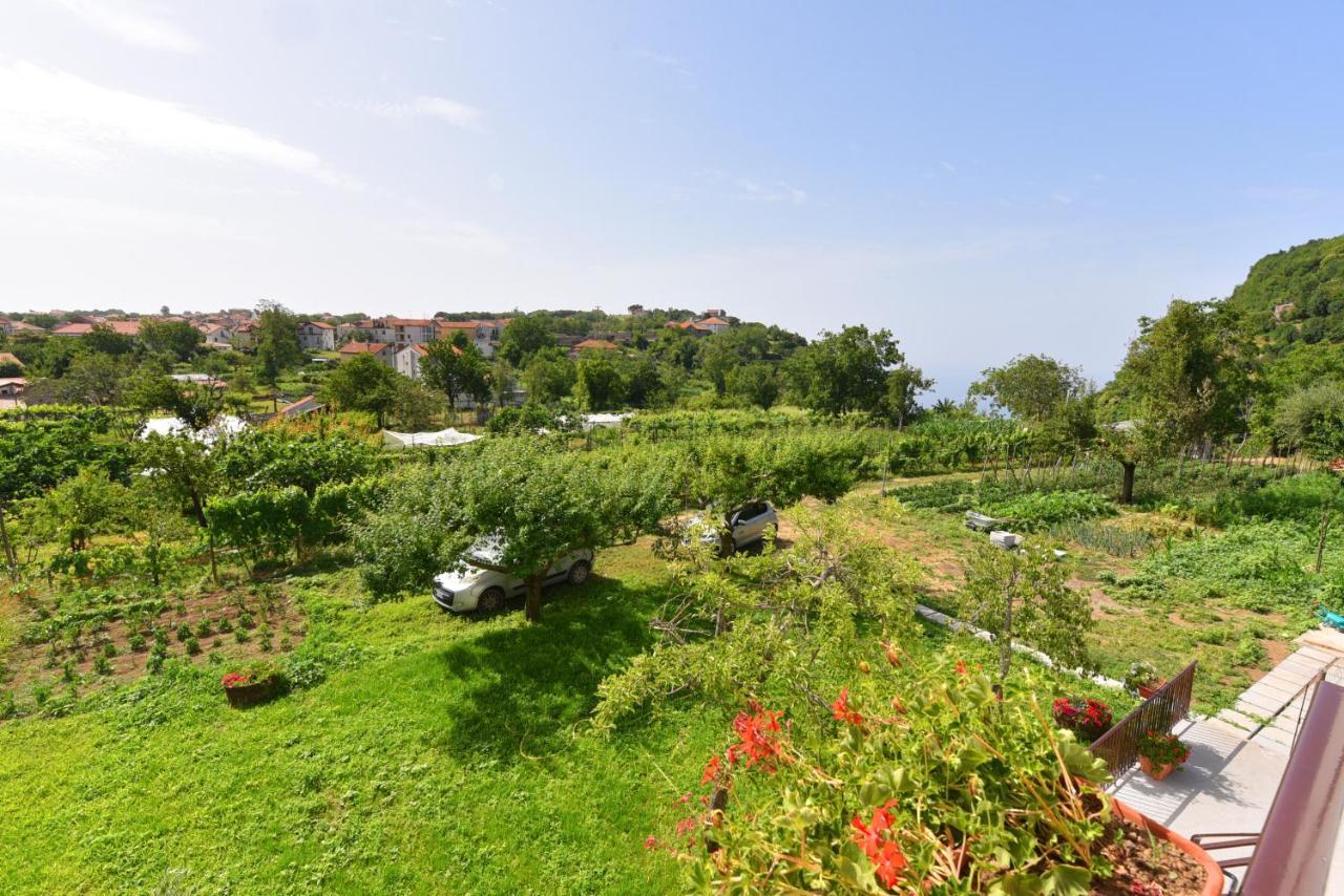 Apartament La Terrazza Sugli Dei Pianillo Zewnętrze zdjęcie